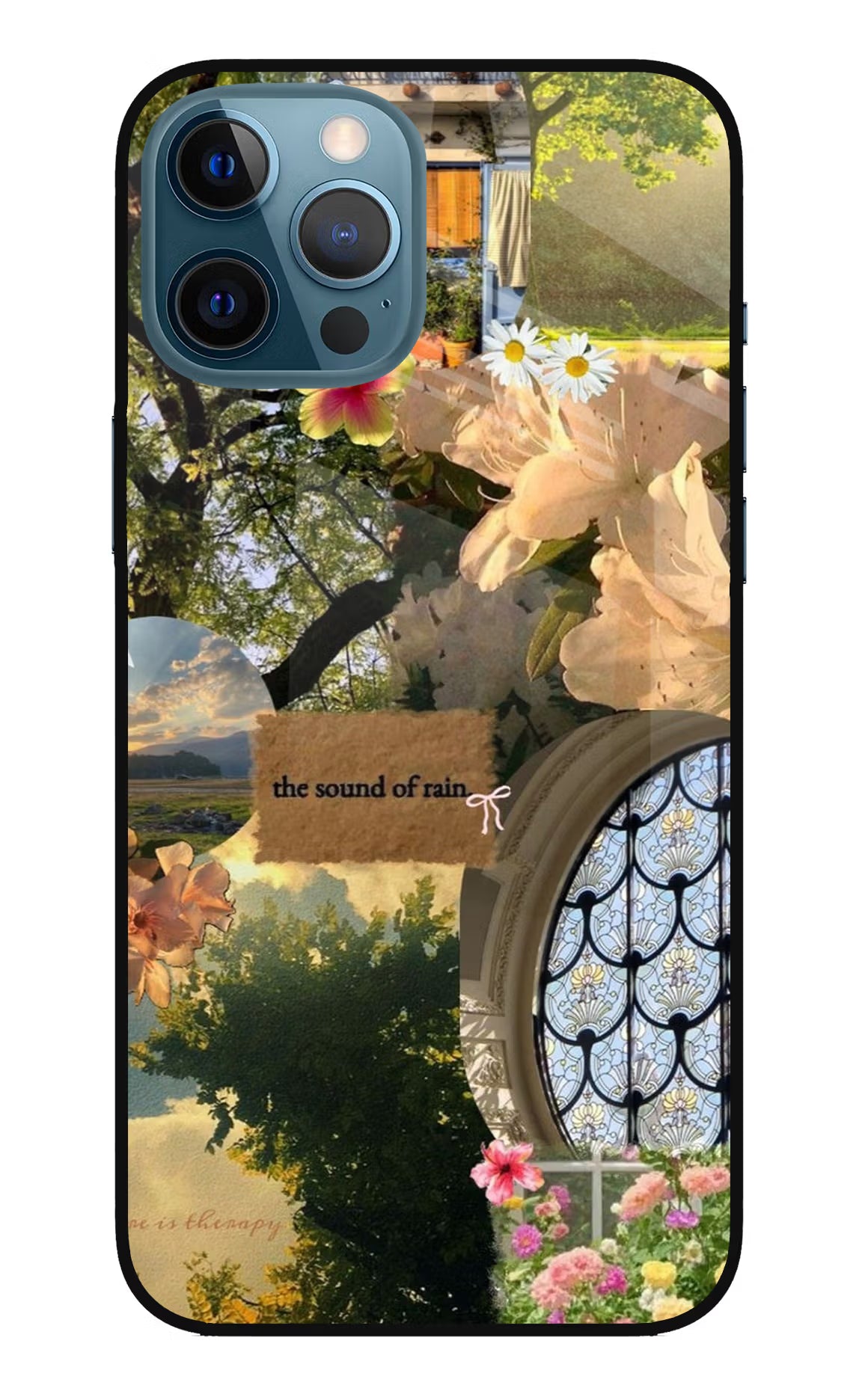Rain iPhone 12 Pro Max Glass Case