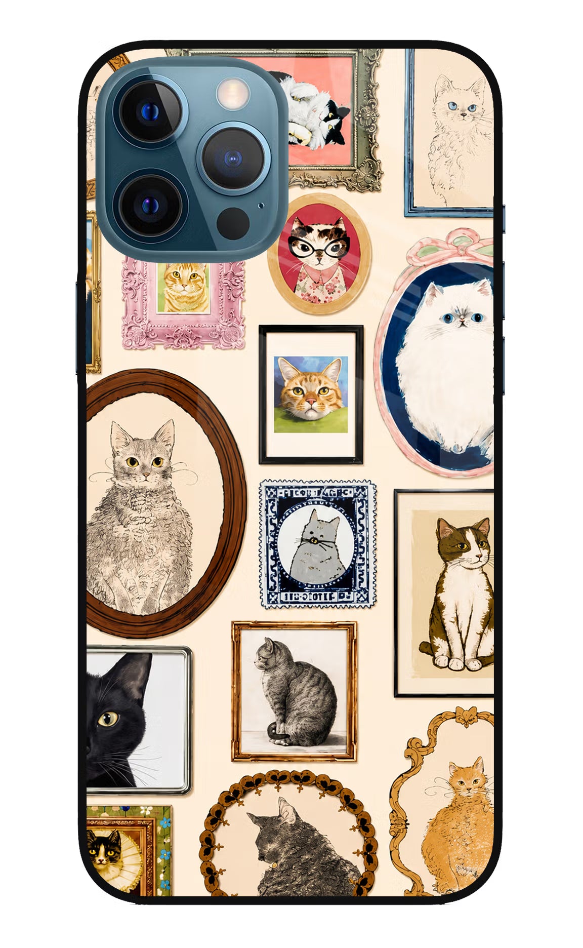 Mirror Cats iPhone 12 Pro Max Glass Case
