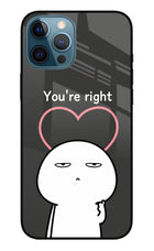You're Right iPhone 12 Pro Max Glass Case