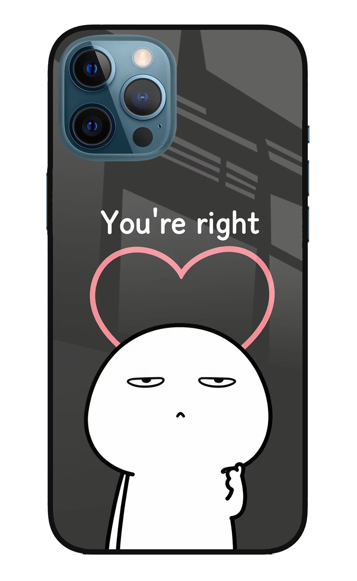 You're Right iPhone 12 Pro Max Glass Case