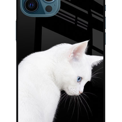 Snow Gaze iPhone 12 Pro Max Glass Case