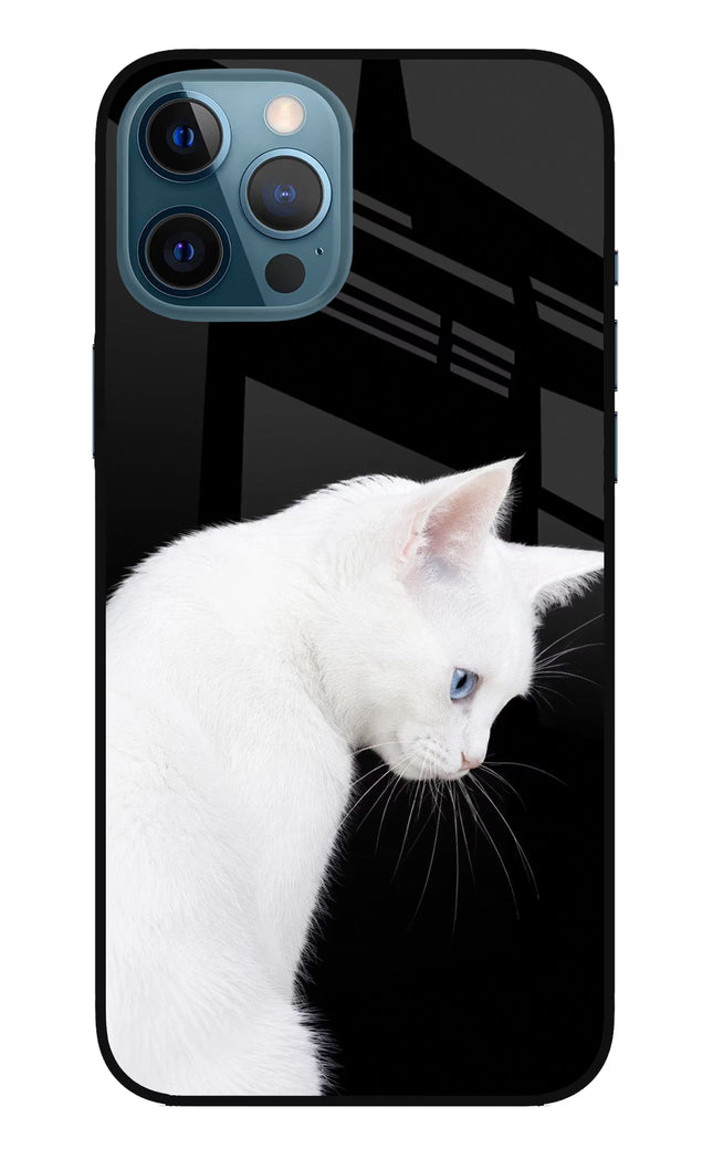 Snow Gaze iPhone 12 Pro Max Glass Case