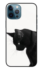 Shadow Gaze iPhone 12 Pro Max Glass Case