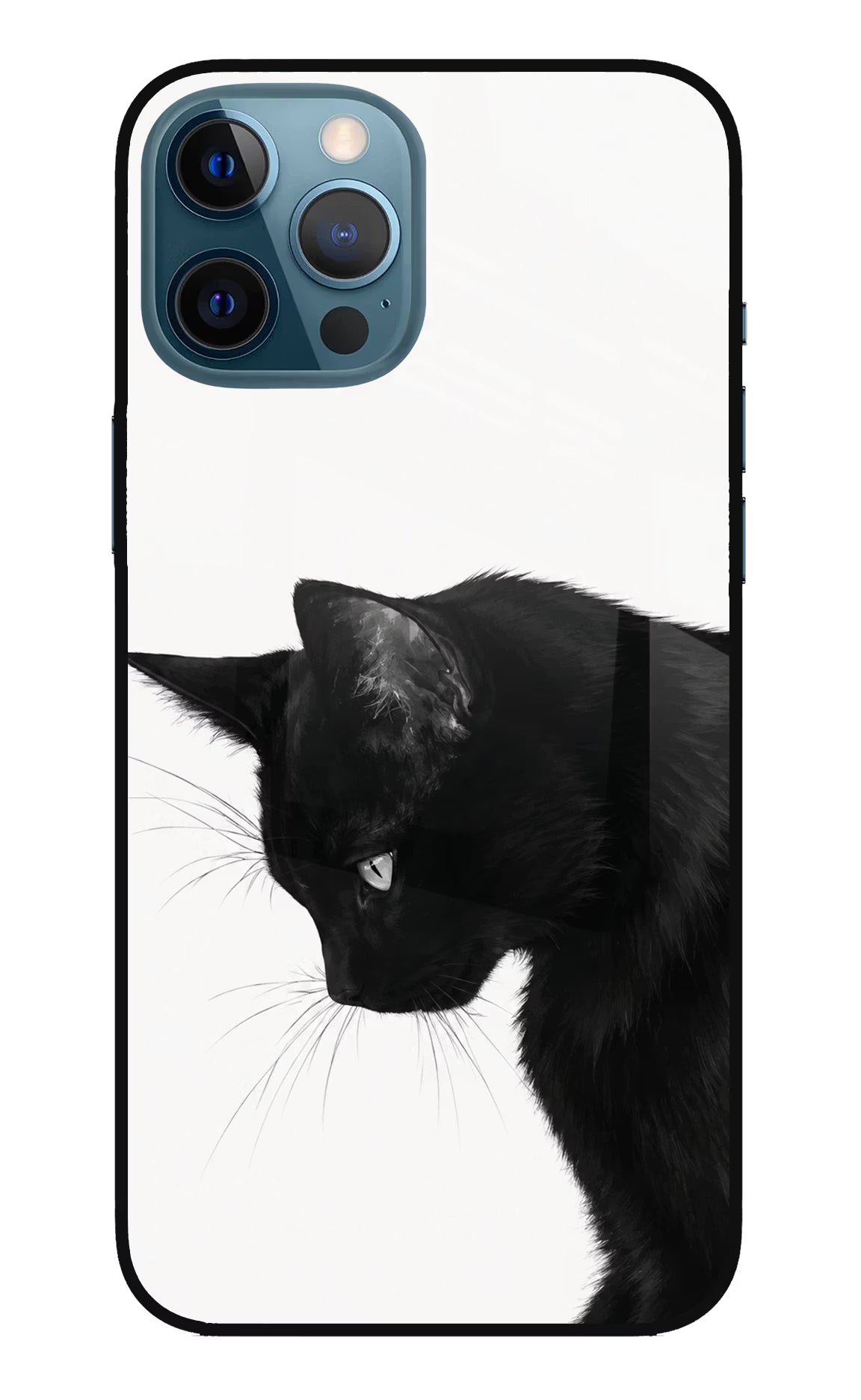 Shadow Gaze iPhone 12 Pro Max Glass Case Back Cover by Casekaro
