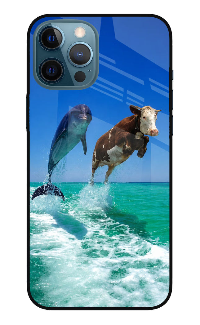 Dolphin vs Cow iPhone 12 Pro Max Glass Case
