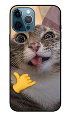 Silly Cat Call iPhone 12 Pro Max Glass Case