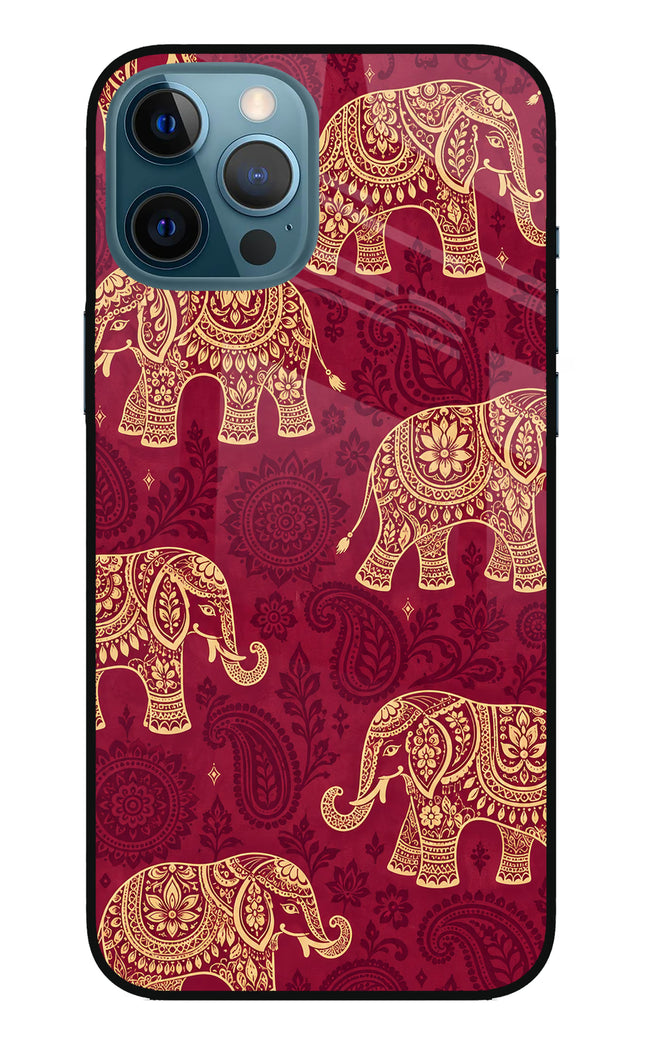 Maroon Elephant iPhone 12 Pro Max Glass Case