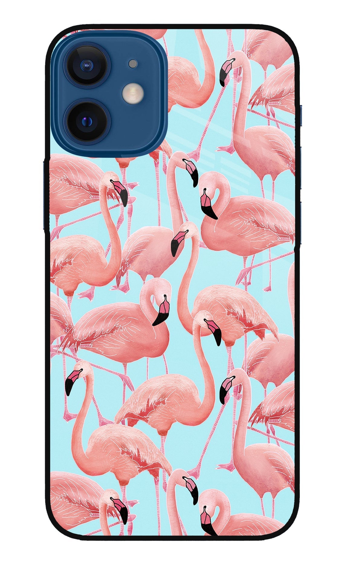 Flamboyance iPhone 12 Mini Back Cover