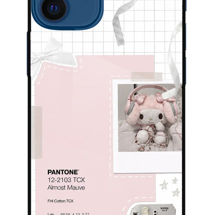 Pantone Asthetic iPhone 12 Mini Glass Case