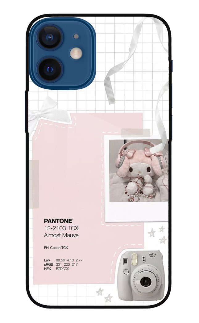 Pantone Asthetic iPhone 12 Mini Glass Case