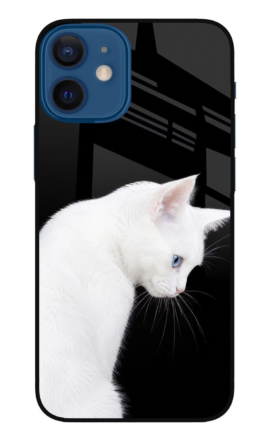 Snow Gaze iPhone 12 Mini Back Cover, Glass case