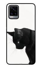 Shadow Gaze Vivo V20 Glass Case