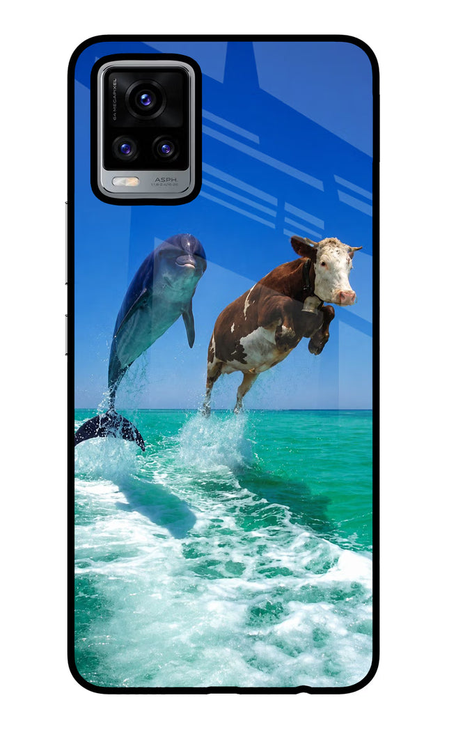 Dolphin vs Cow Vivo V20 Glass Case
