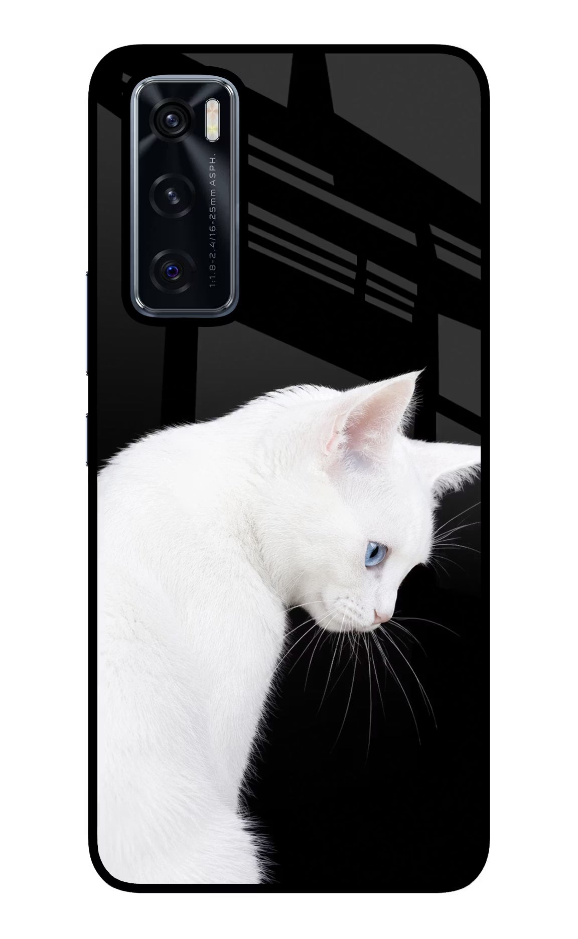 Snow Gaze Vivo V20 SE Glass Case