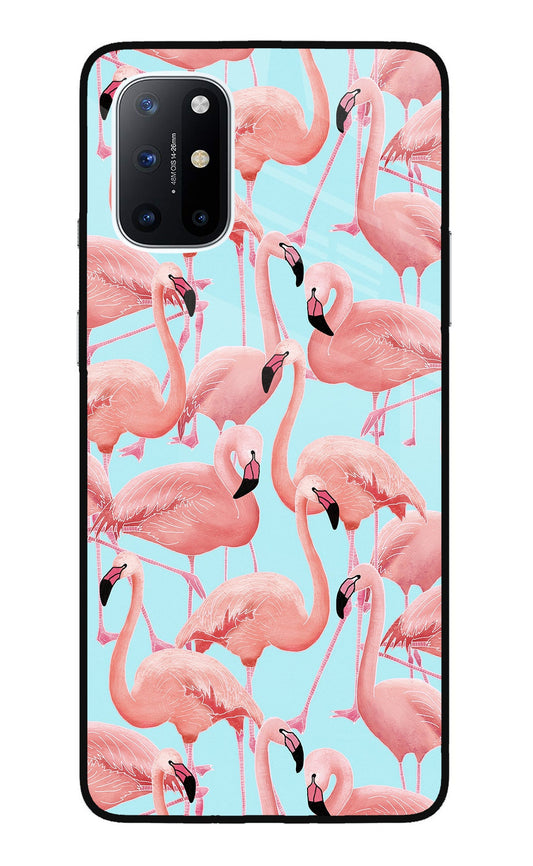 Flamboyance Oneplus 8T Glass Case