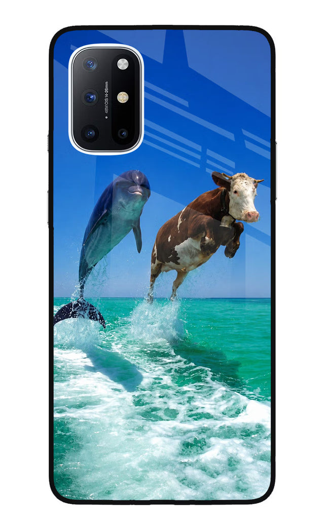 Dolphin vs Cow Oneplus 8T Glass Case