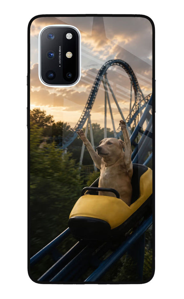 Rollercoaster Dog Oneplus 8T Glass Case