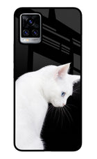 Snow Gaze Vivo V20 Pro Glass Case
