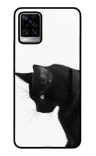 Shadow Gaze Vivo V20 Pro Glass Case