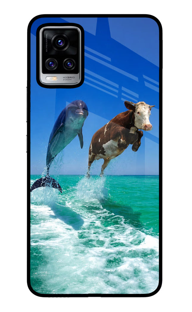 Dolphin vs Cow Vivo V20 Pro Glass Case
