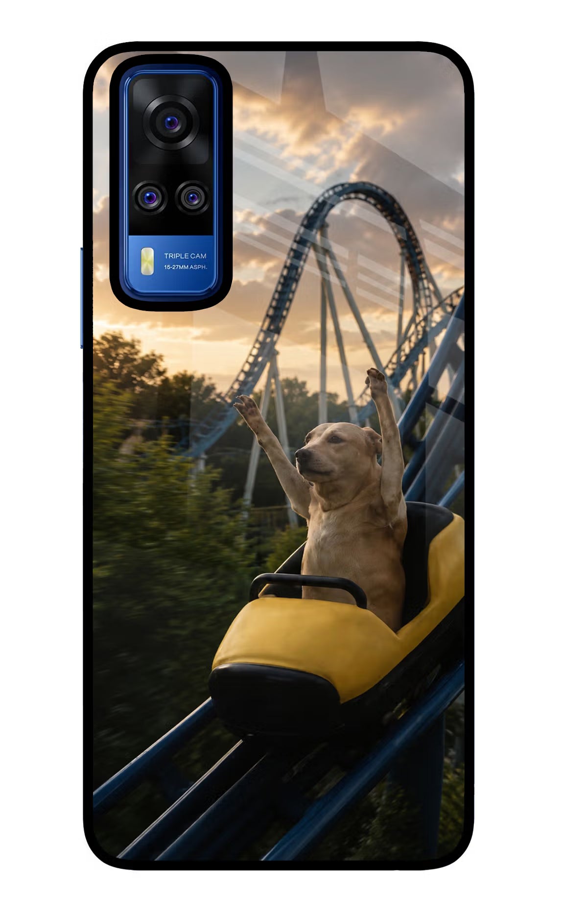 Rollercoaster Dog Vivo Y51A/Y51 2020 Glass Case