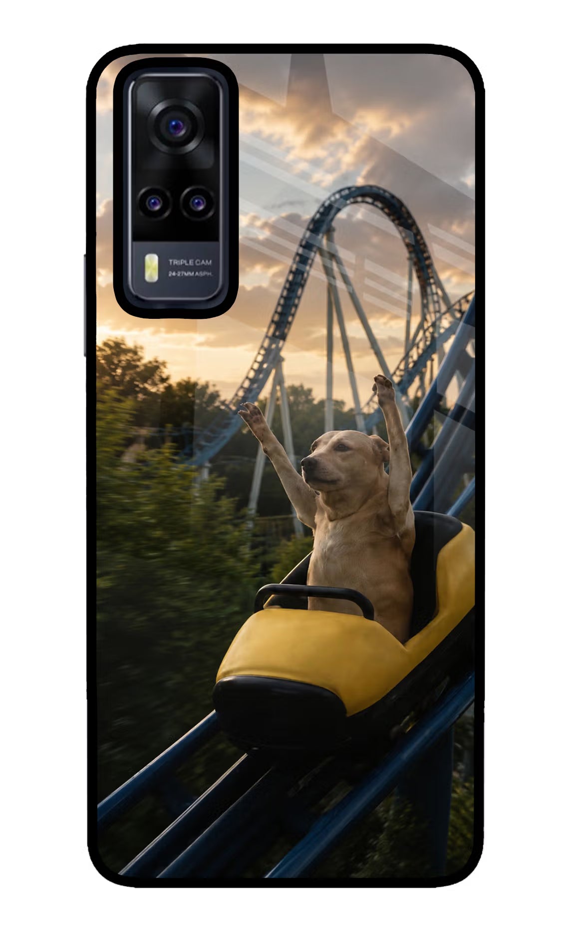 Rollercoaster Dog Vivo Y31 Glass Case