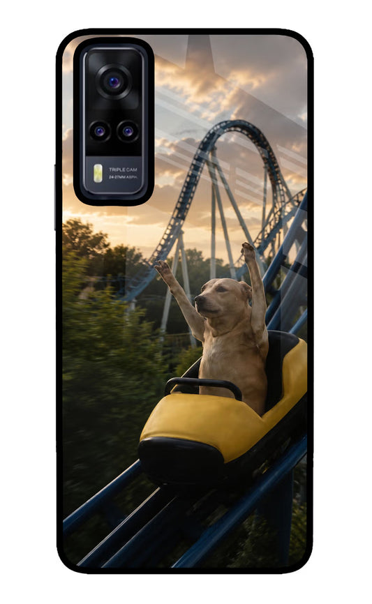 Rollercoaster Dog Vivo Y31 Glass Case