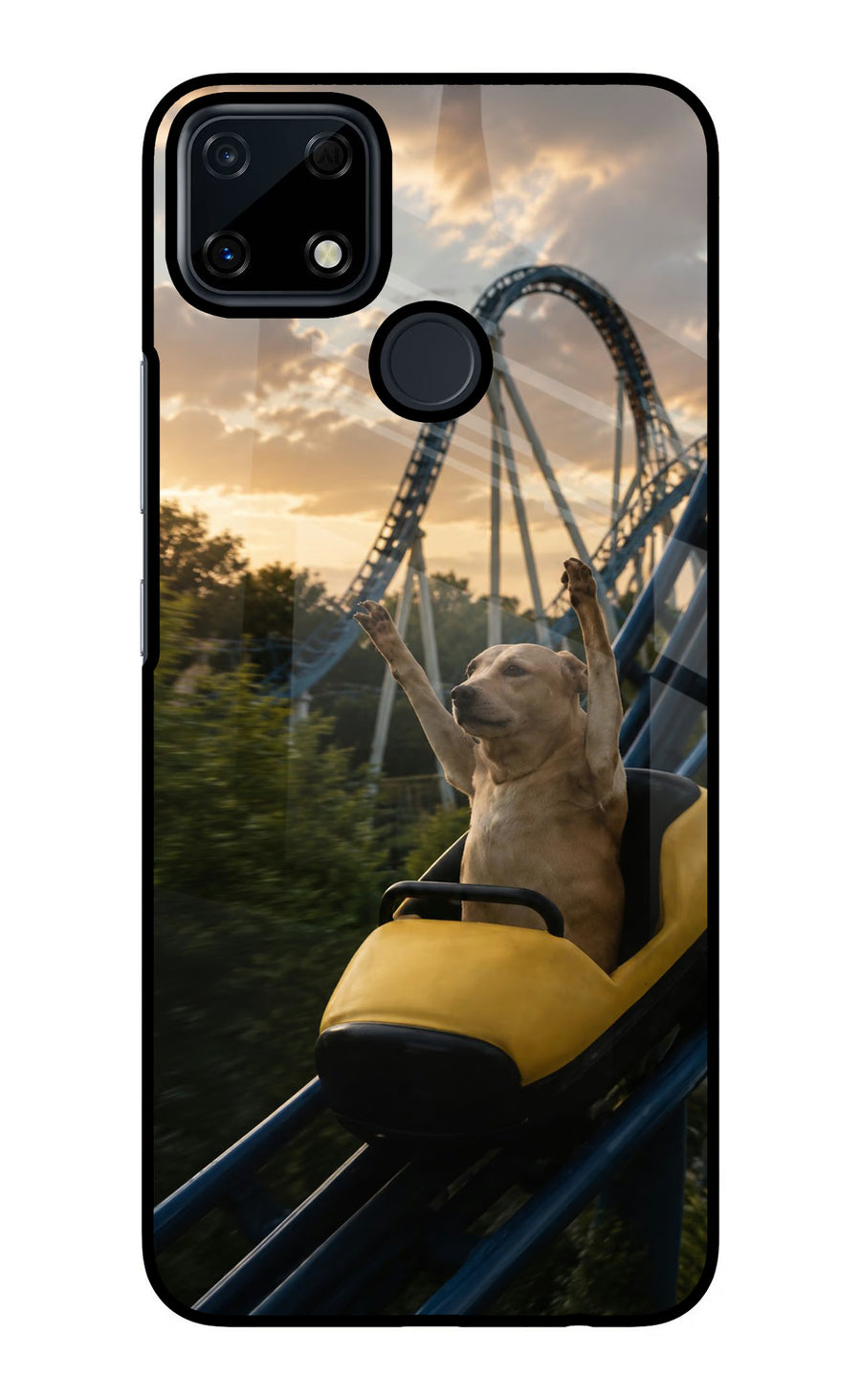 Rollercoaster Dog Realme Narzo 30A Back Cover, Glass case
