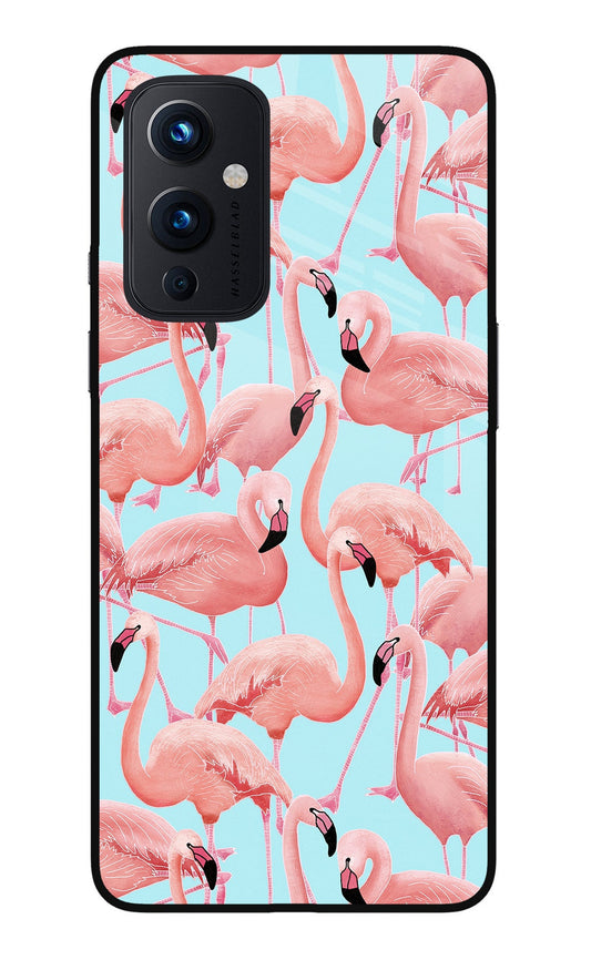 Flamboyance Oneplus 9 Glass Case