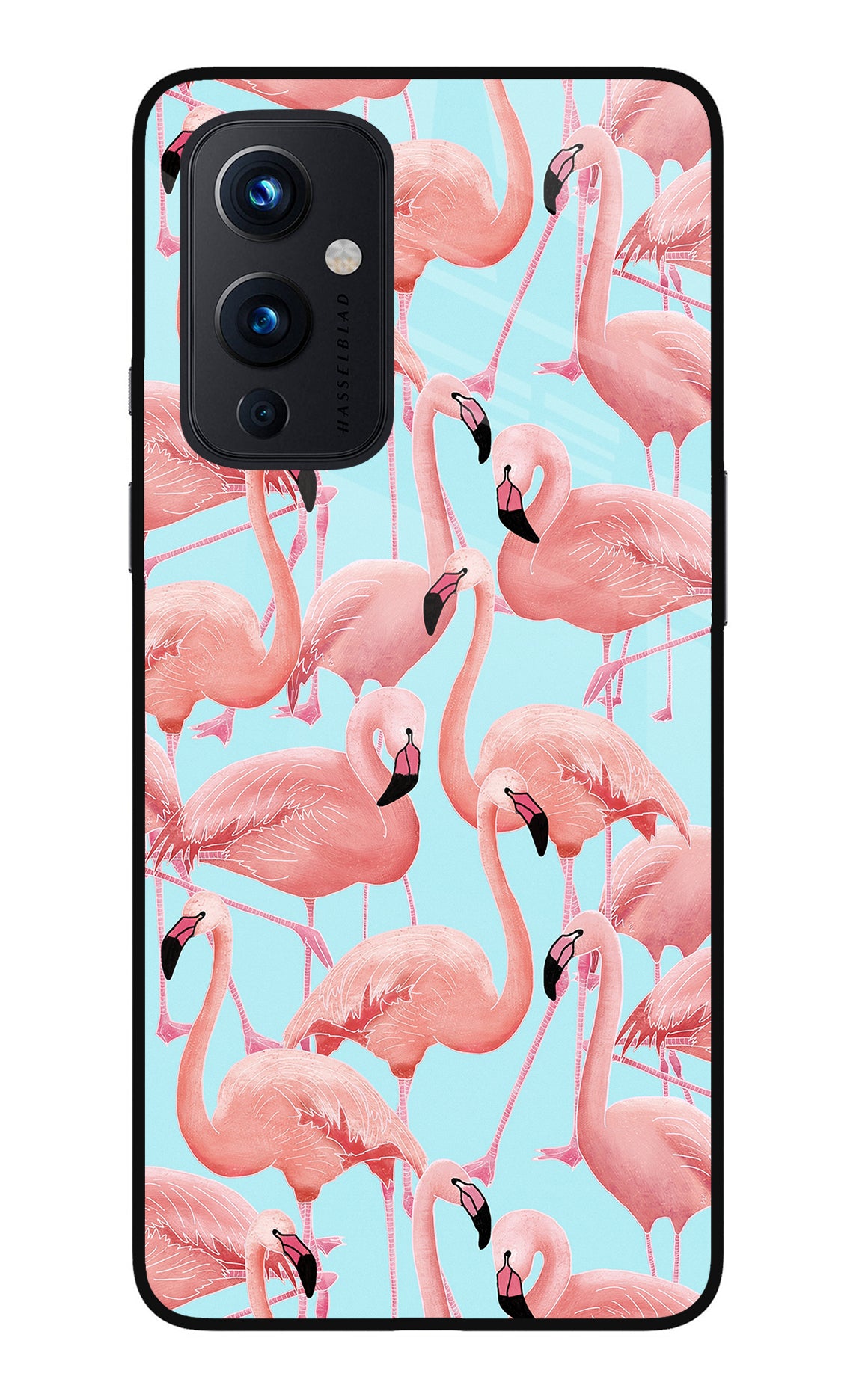 Flamboyance Oneplus 9 Back Cover