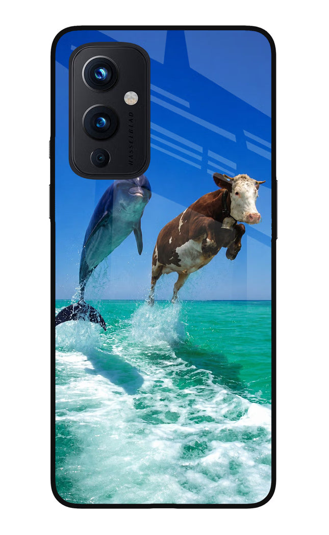 Dolphin vs Cow Oneplus 9 Glass Case