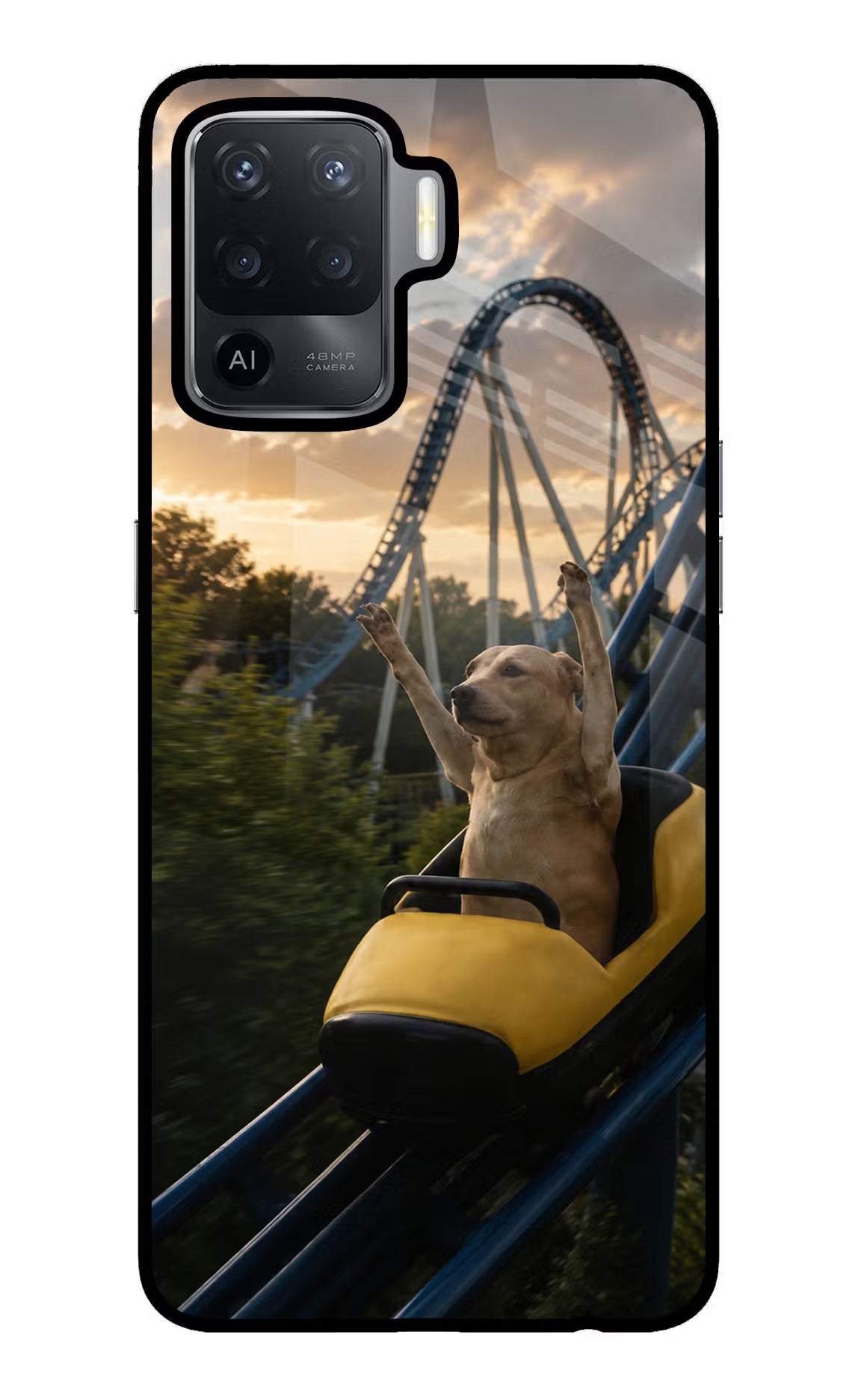Rollercoaster Dog Oppo F19 Pro Glass Case