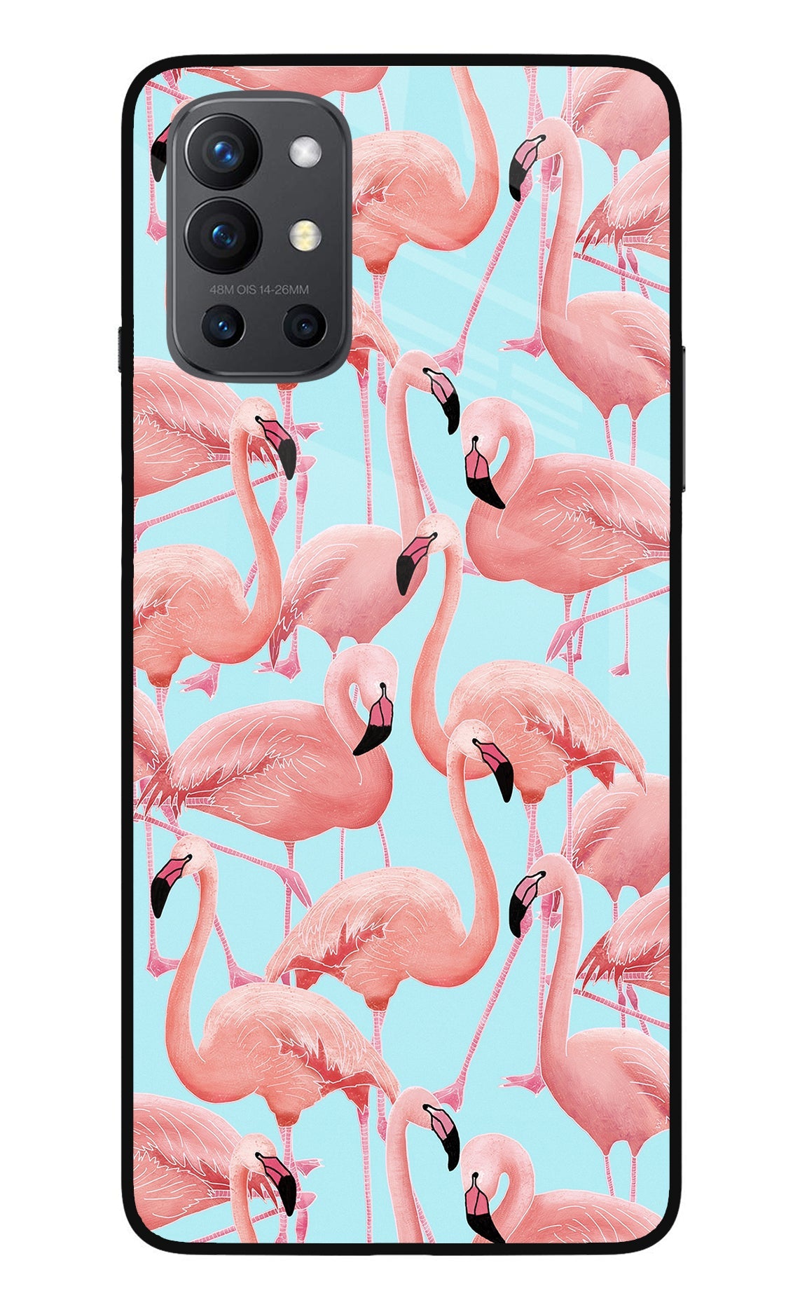 Flamboyance Oneplus 9R Back Cover