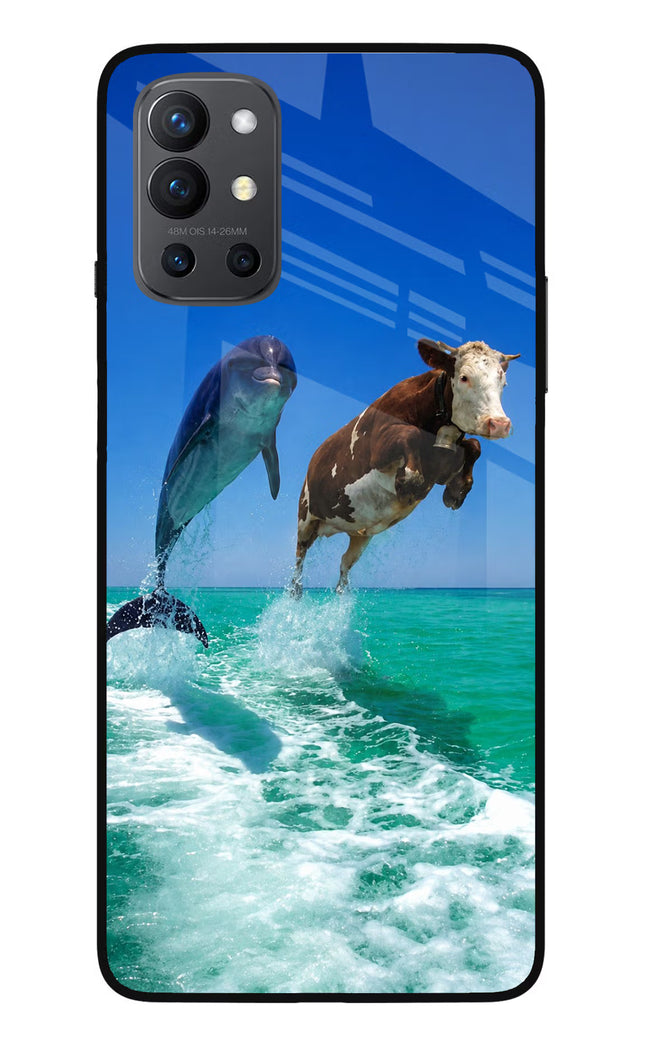 Dolphin vs Cow Oneplus 9R Glass Case