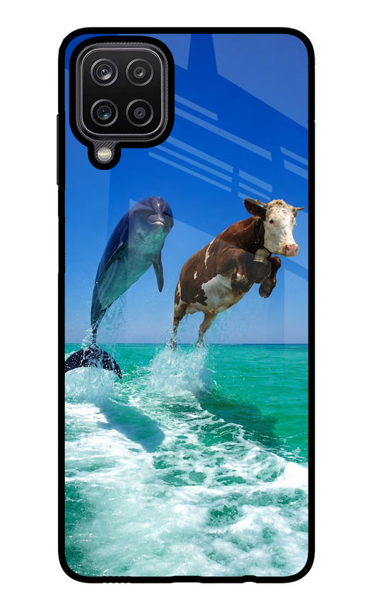 Dolphin vs Cow Samsung M12/F12 Glass Case