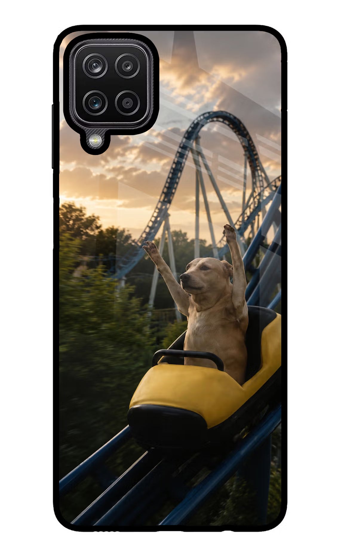 Rollercoaster Dog Samsung M12/F12 Glass Case