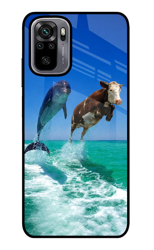 Dolphin vs Cow Redmi Note 10/10S Glass Case