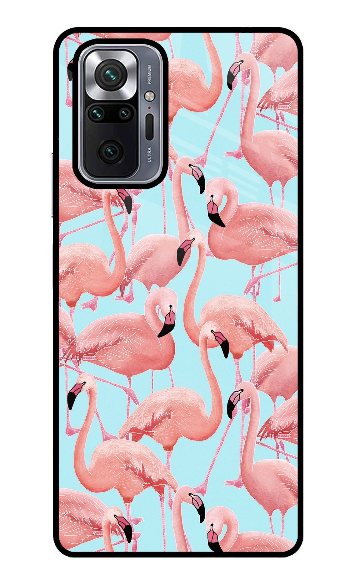 Flamboyance Redmi Note 10 Pro Back Cover