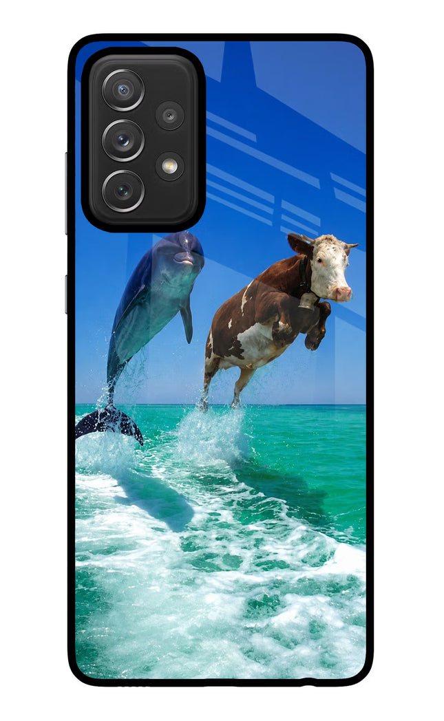 Dolphin vs Cow Samsung A72 Glass Case Back Cover by Casekaro