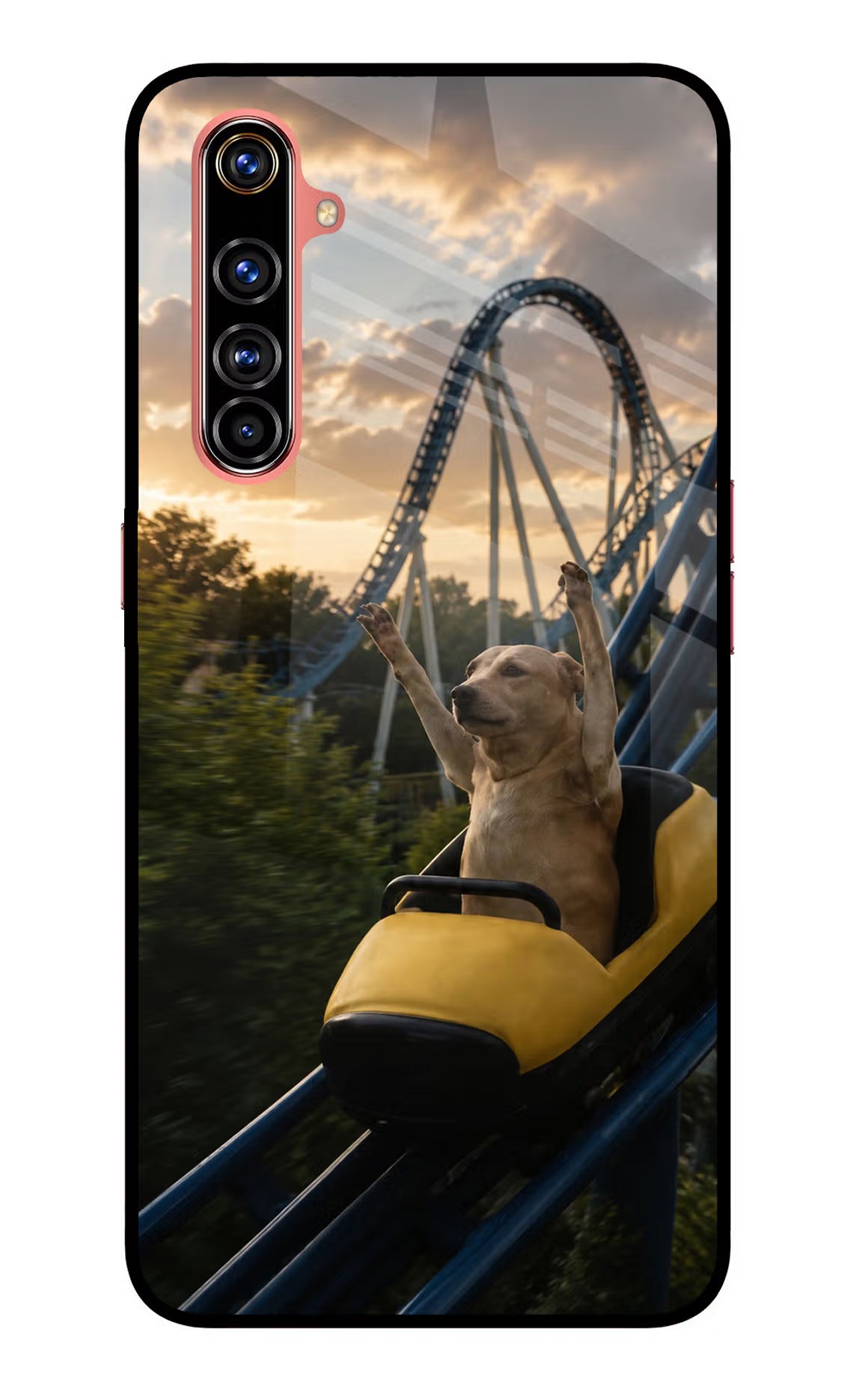 Rollercoaster Dog Realme X50 Pro Glass Case
