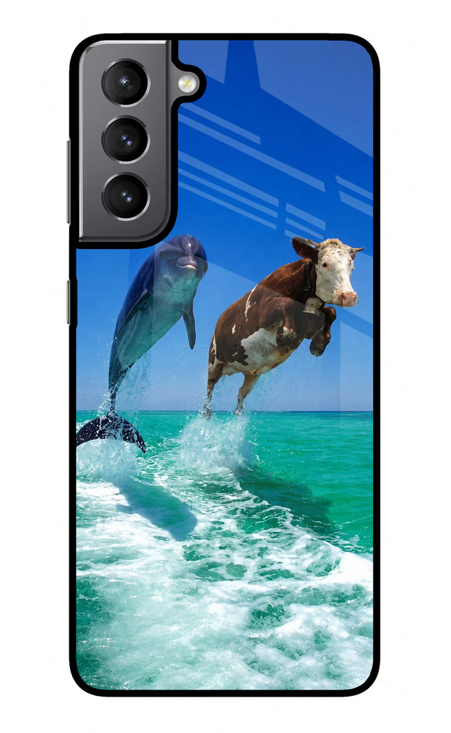 Dolphin vs Cow Samsung S21 Plus Glass Case