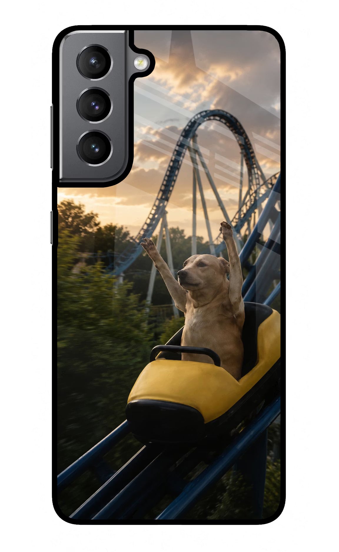 Rollercoaster Dog Samsung S21 Plus Glass Case