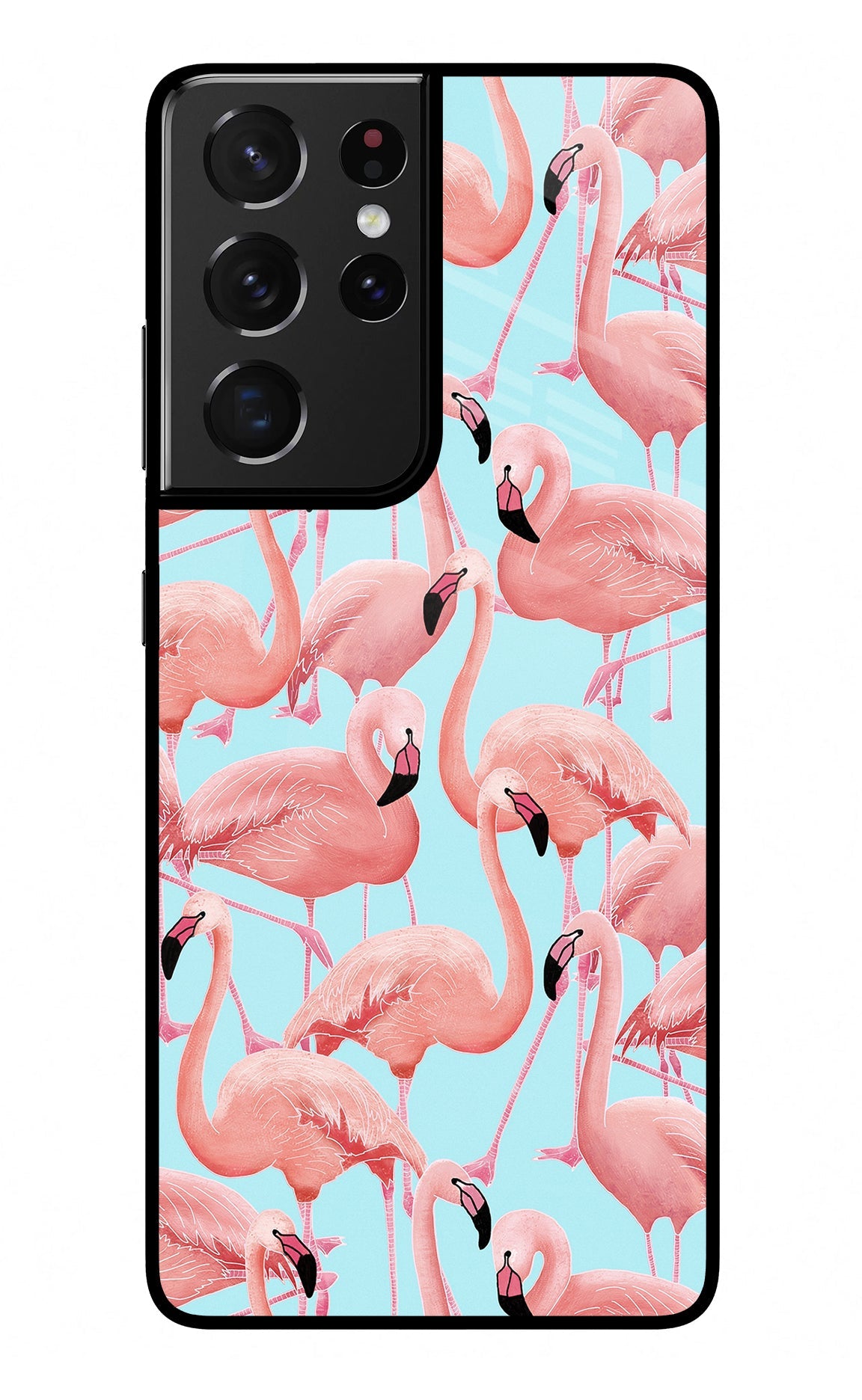 Flamboyance Samsung S21 Ultra Back Cover