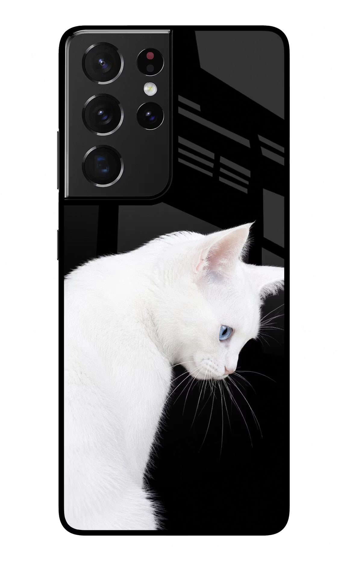 Snow Gaze Samsung S21 Ultra Glass Case