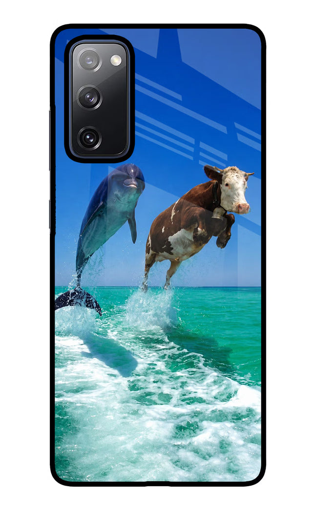 Dolphin vs Cow Samsung S20 FE Glass Case