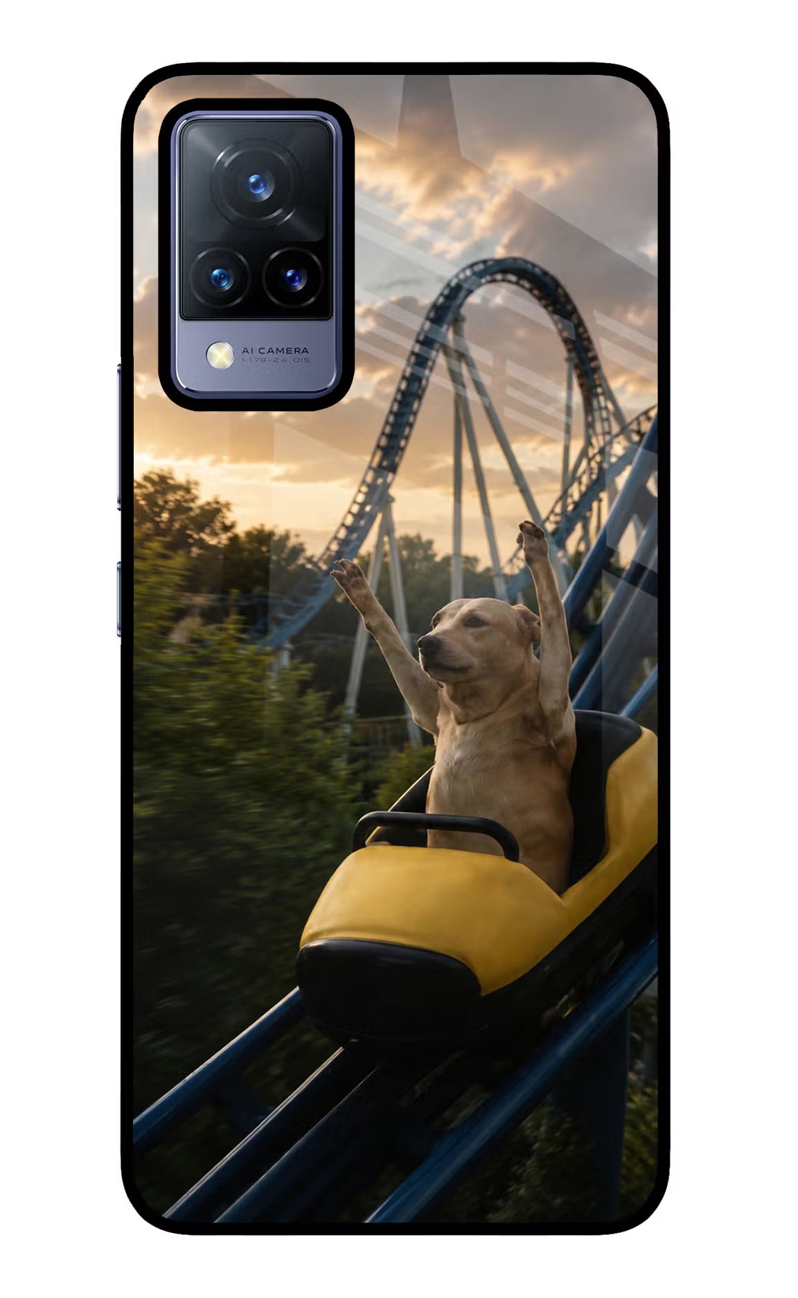 Rollercoaster Dog Vivo V21 Glass Case