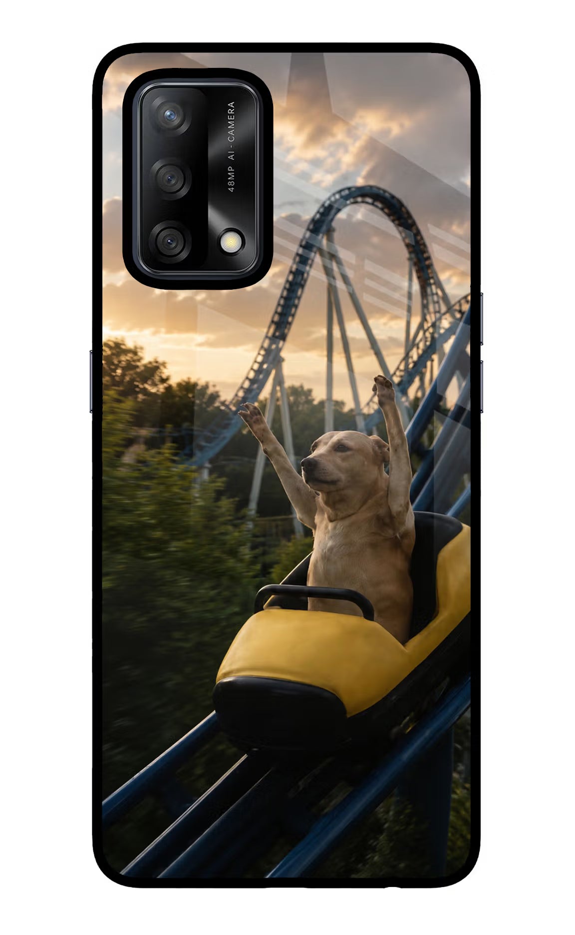 Rollercoaster Dog Oppo F19/F19s Glass Case