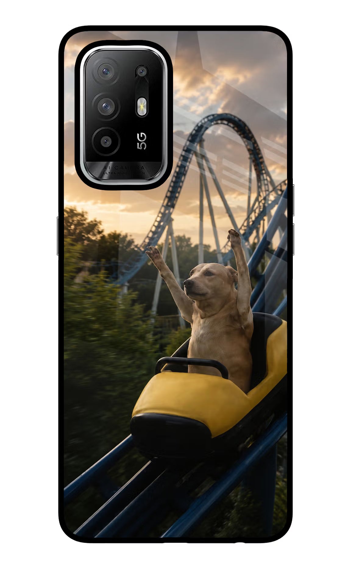 Rollercoaster Dog Oppo F19 Pro+ Glass Case