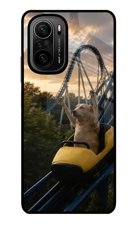 Rollercoaster Dog Mi 11X/11X Pro Glass Case