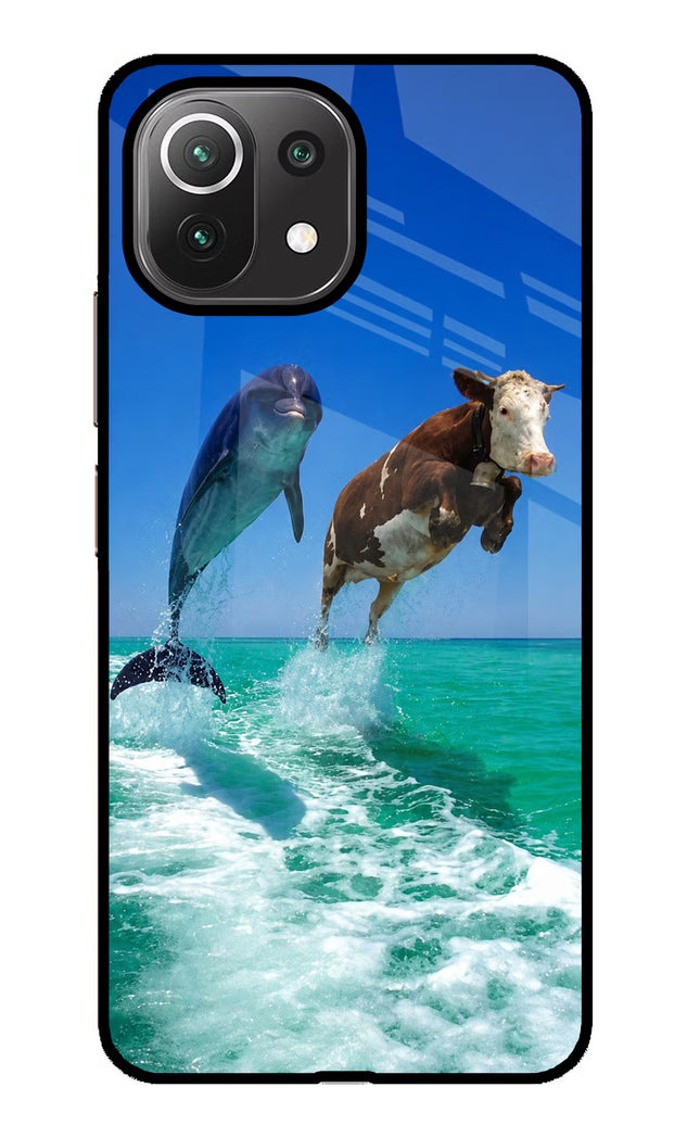 Dolphin vs Cow Mi 11 Lite Glass Case
